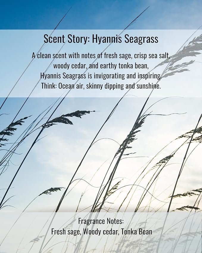 Hines+Young Travel Tins Gift Set - 4 oz Body Cream, 2 oz Linen Spray, Natural Lip Balm - Skin Care and Refreshing Home Fragrance, Ideal Self-Care Gift Set (Pack of 3, Hyannis Seagrass)