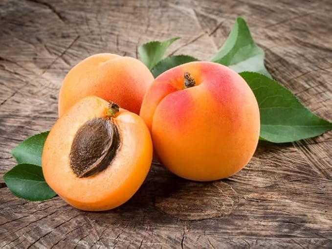 Apricot Kernel Oil - 100% Pure, Organic, Cold Pressed, Unrefined, Raw - Bitter Scent, Therapetutic Premium Grade A Kernal - Perfect for Massage, Skin, Hair & Body Care 16 OZ Quart Bulk