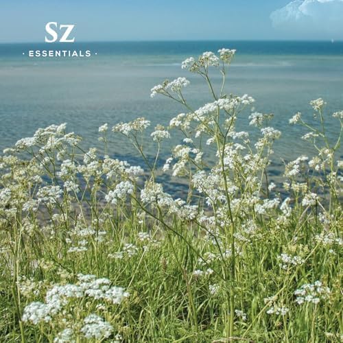 Blue Yarrow Essential Oil – 100% Pure – Calming & Grounding – Deep Blue Steam-Distilled Oil from Achillea millefolium – Aromatherapy, Self-Care & Natural Perfumery – 0.22 fl oz (6.5 mL)