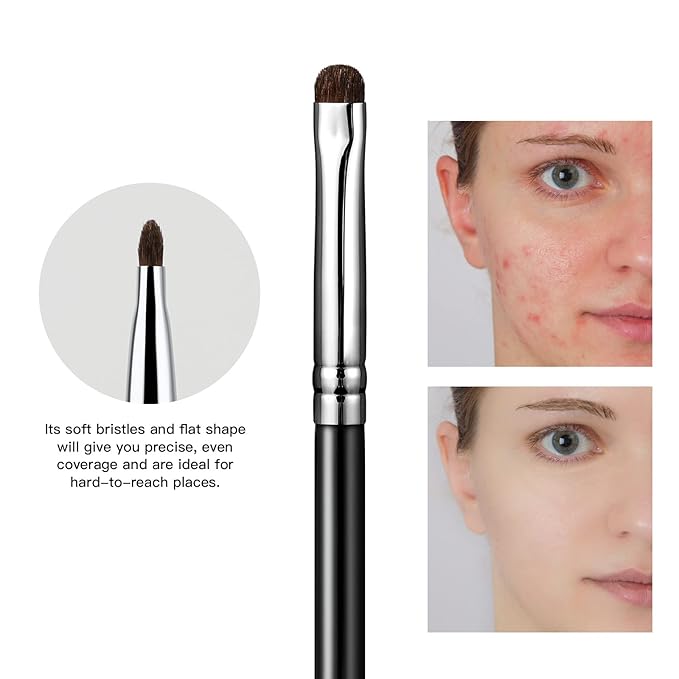 EIGSHOW Concealer Brush, Detail Shader Makeup Brush for Blending Eyeshadow, Concealing Small Blemishes and Imperfections - Precision Application (E867)