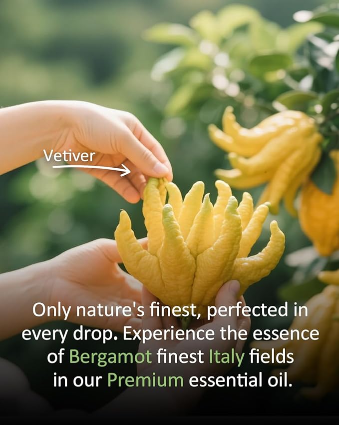 Bergamot Essential Oil Pure Citrus Oils Aromatherapy for Natural Reed Diffuser & Soap Making Fall Scents Room Spray Skin 4 Fl Oz