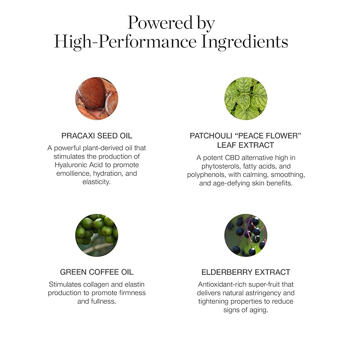 Ogee Sculpted Complexion Foundation Stick (Acacia 12.25C - Deep, Red Undertones) Full Coverage Foundation Makeup - Instantly Balance & Even Complexion - 70% Organic Ingredients