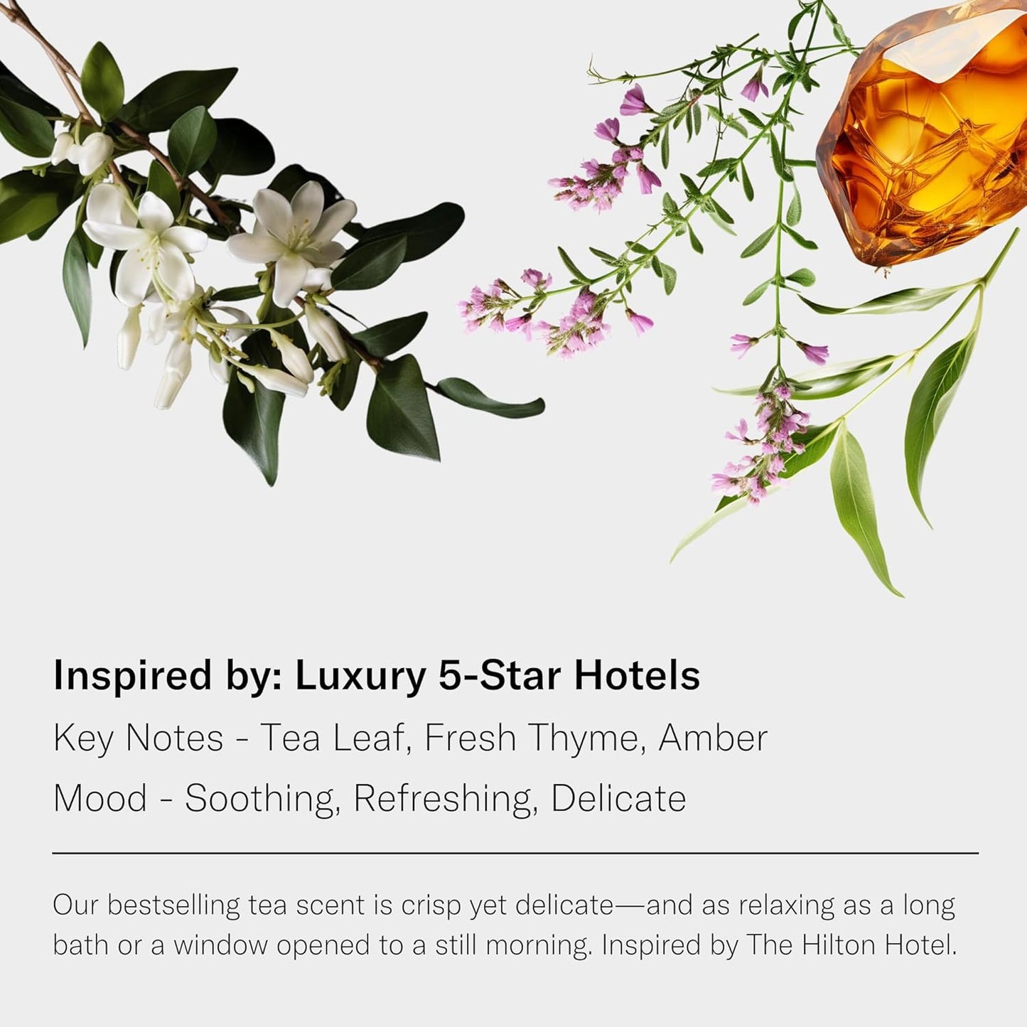 AromaTech White Tea and Thyme Aroma Essential Oil Blend: Luxury Hotel Inspired Aromatherapy with Tea Leaf, Fresh Thyme & Amber for Ultrasonic Diffusers & Nebulizers - 0.3 fl oz, 10 mL