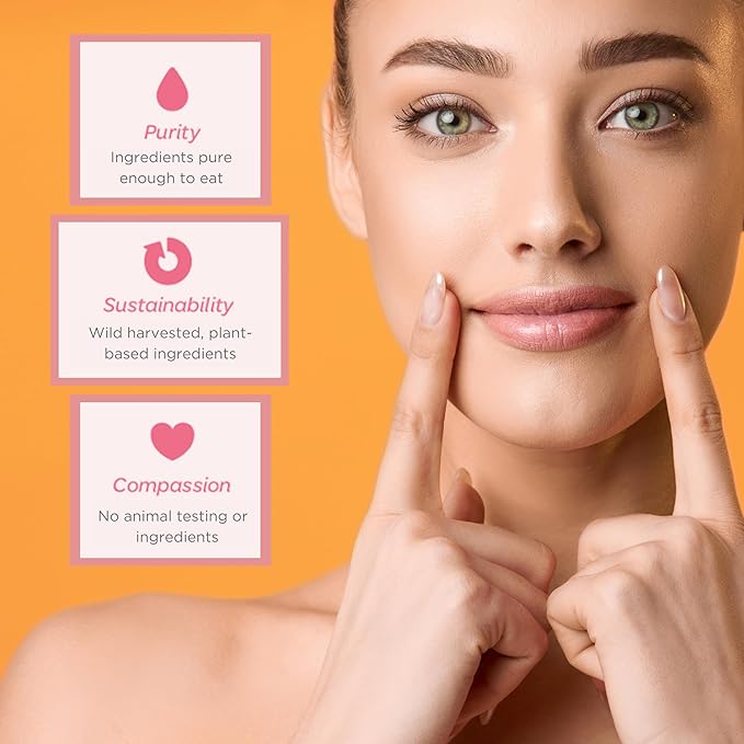 Natural Lip Butter Lip Balm - Ginger Lemon - Pure Enough to Eat - Made With Just 6 Vegan Ingredients - 100% Natural & Organic Moisturizing Lip Care for All Day Hydration (2-Pack)