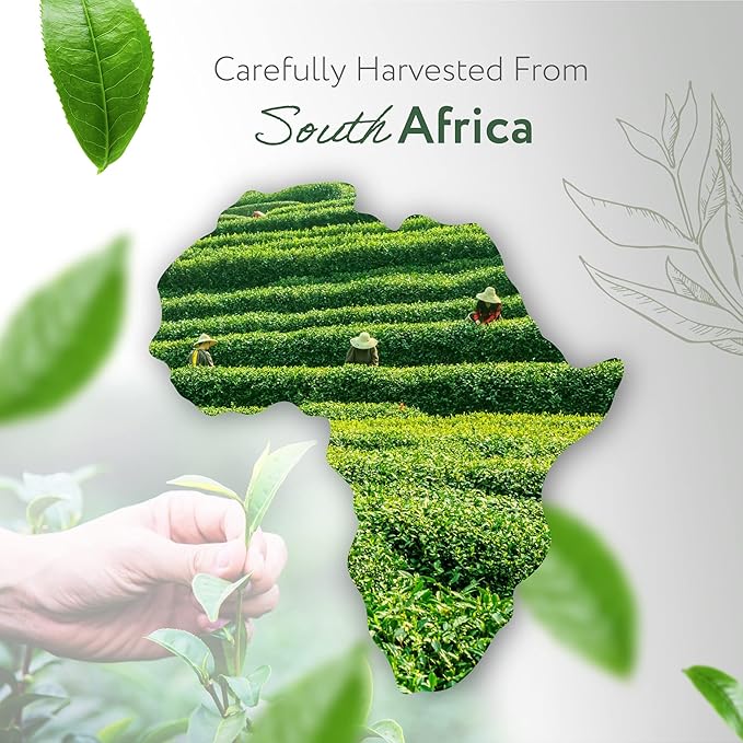 HBNO California Bottled Organic Tea Tree Oil for Skin & Hair - 4 fl oz (120ml) - USDA Certified Organic Tea Tree Oil for Aromatherapy