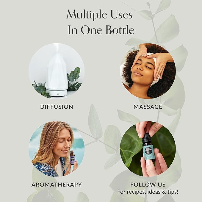 Edens Garden Basil Essential Oil- 100% Pure Premium Grade, Undiluted, Natural, Therapeutic, Aromatherapy, The Best for Diffuser, Skin, Candle, Laundry 10 ml (.33 fl oz)